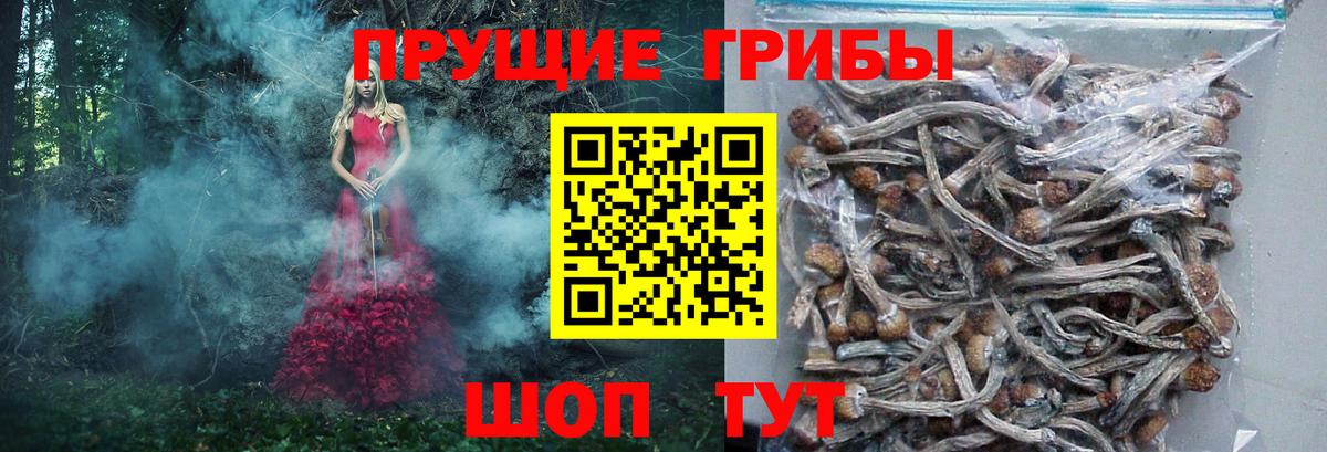 Галлюциногенные грибы прущие грибы  Вход с VPN  Галлюциногенные грибы MAGIC MUSHROOMS  Верхний Уфалей 